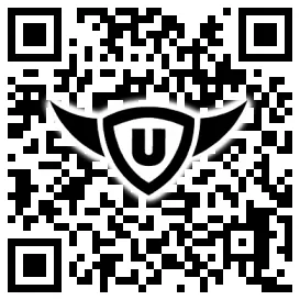 QR-Code Stonies
