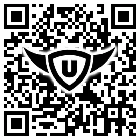 QR-Code Stonies