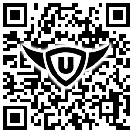 QR-Code Stonies