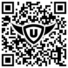 QR-Code Stonies
