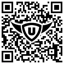 QR-Code Stonies