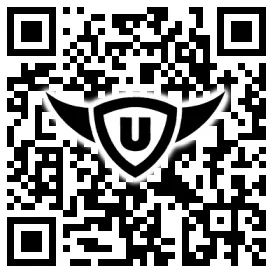 QR-Code Stonies