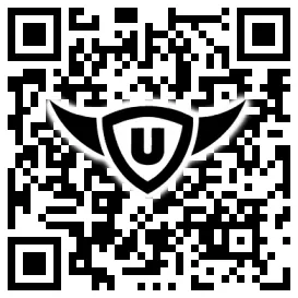 QR-Code Stonies