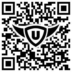 QR-Code Stonies