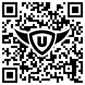 QR-Code Stonies