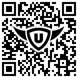 QR-Code Stonies