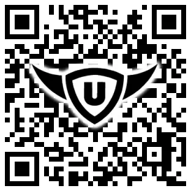 QR-Code Stonies