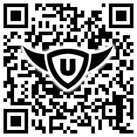 QR-Code Stonies