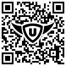 QR-Code Stonies