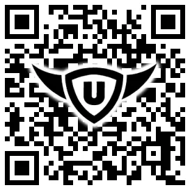 QR-Code Stonies