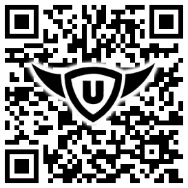 QR-Code Stonies