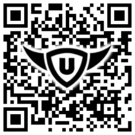 QR-Code Stonies