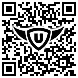 QR-Code Stonies