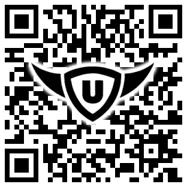QR-Code Stonies