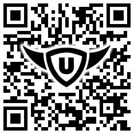 QR-Code Stonies
