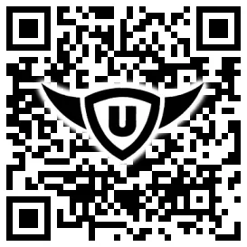 QR-Code Stonies