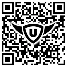 QR-Code Stonies