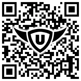 QR-Code Stonies