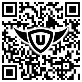 QR-Code Stonies
