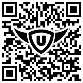 QR-Code Stonies