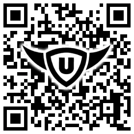 QR-Code Stonies