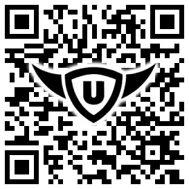 QR-Code Stonies