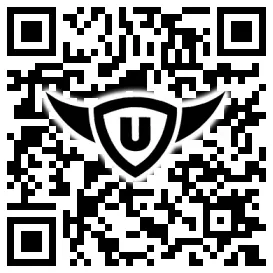 QR-Code Stonies