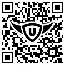 QR-Code Stonies