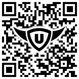 QR-Code Stonies