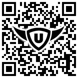 QR-Code Stonies