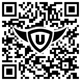 QR-Code Stonies