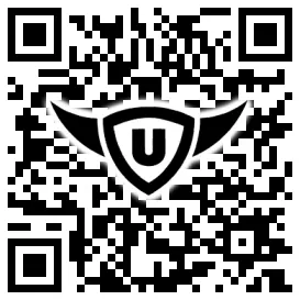 QR-Code Stonies