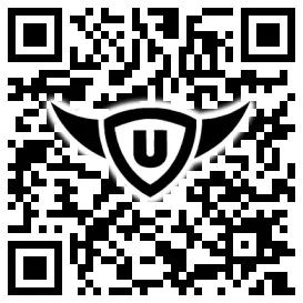 QR-Code Stonies